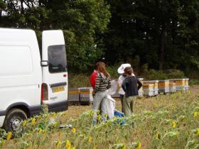 photo coins arrondis